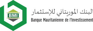 logo bmi